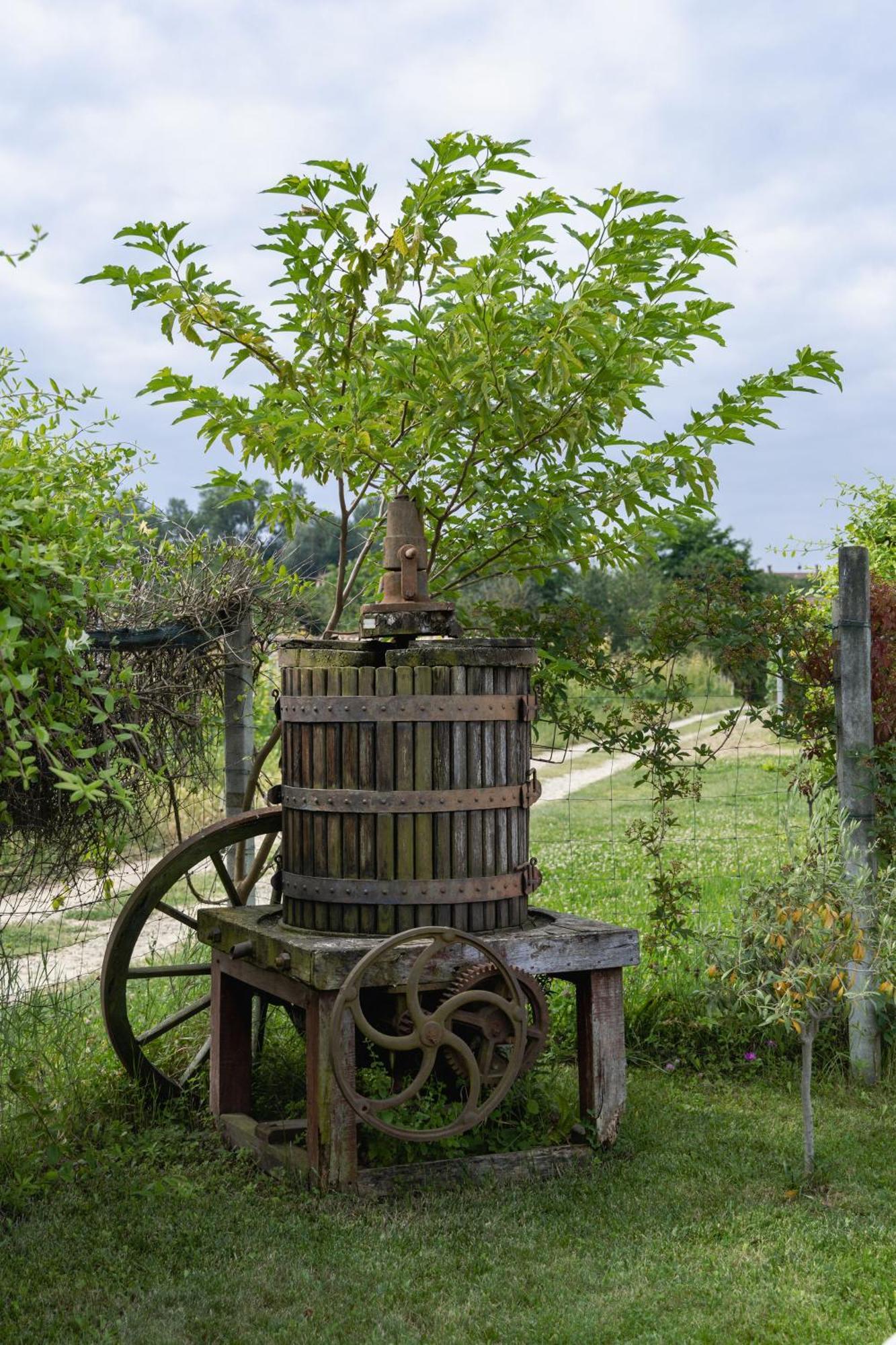 La Cantinella Country House La Morra Kültér fotó