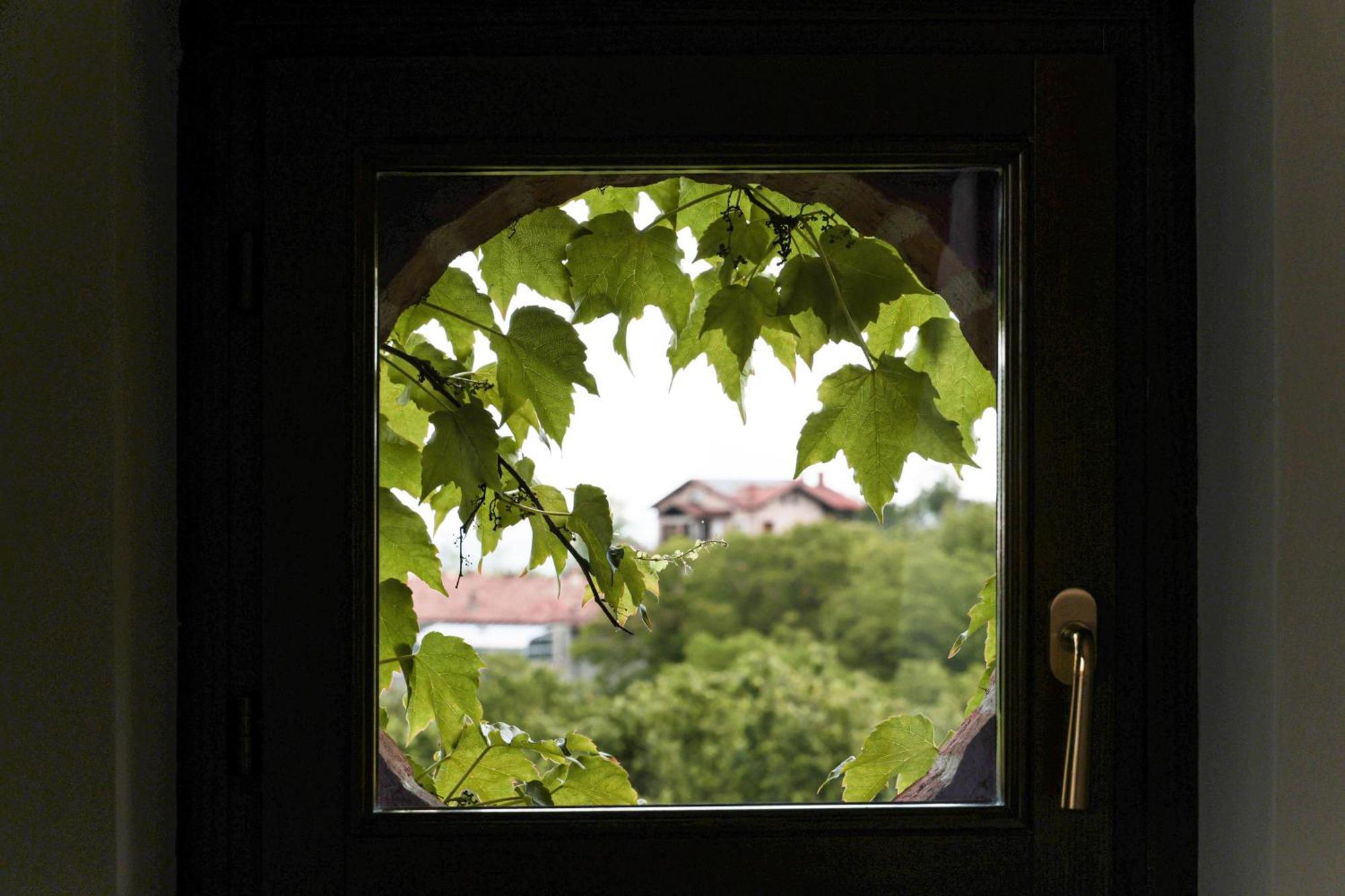 La Cantinella Country House La Morra Kültér fotó