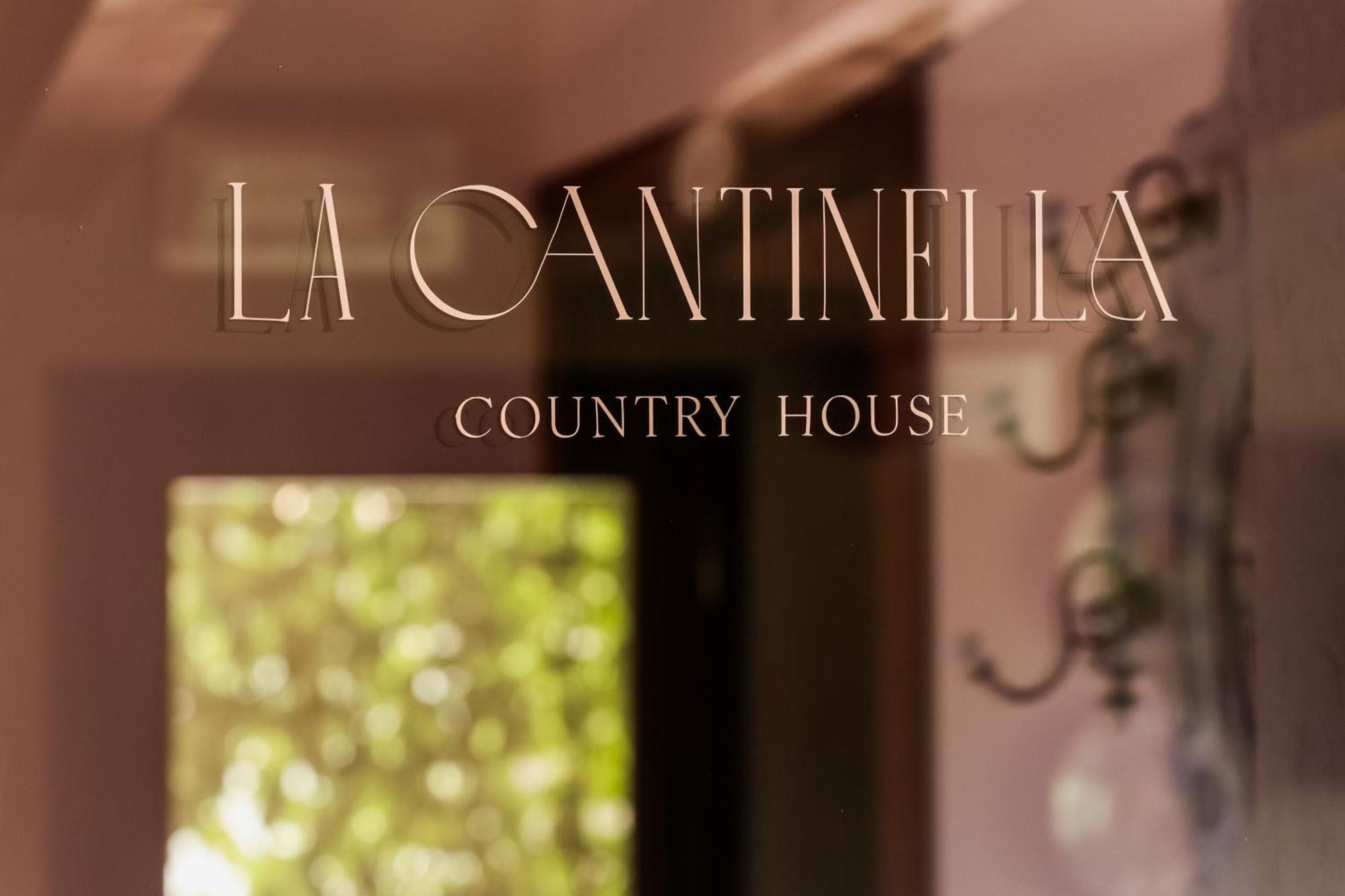 La Cantinella Country House La Morra Kültér fotó